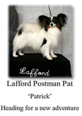 Lafford Postman Pat
‘Patrick’
Heading for a new adventure
