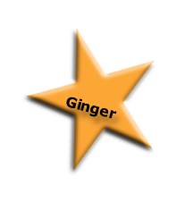 Ginger
